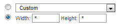 define-custom-zone-size-2